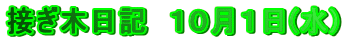 ڂؓL@POP()